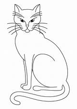 Cat Coloring Pages Color Animals Print Printable Sheet Animal Back sketch template