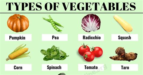 list  vegetables  popular types  vegetables  english