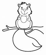 Squirrel Esquilo Raccoon Filhote Eekhoorn Tudodesenhos Topkleurplaat Dieren sketch template