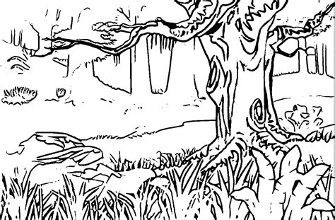 forest landscape landscape coloring page forest coloring pages