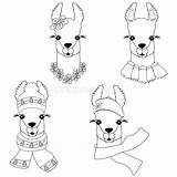 Llama Childish sketch template