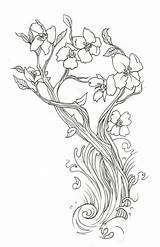 Blossom Prunus Coloring Designlooter Flower sketch template