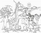 Coloring Pages Jungle Animals Popular Printable sketch template