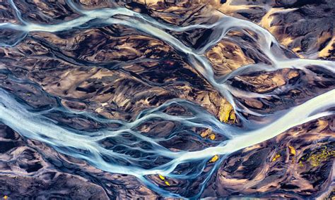 river deltas formed examples  visuals   animals