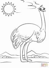 Ostrich Coloring Cartoon Printable Pages Clipart Drawing Puzzle Webstockreview Preschool Categories sketch template