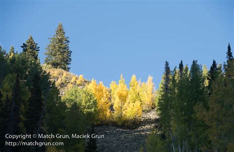 2737 0029 Fall Colors Ohio Pass Photographer In Colorado