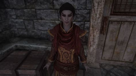 Arilith In Windhelm 3 Resdayn S Stories And Stuff
