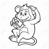Macaco Colorir Mono Marmoset Monos Comiendo Imágenes Empiecen Empiezan Plátano Shareasale sketch template