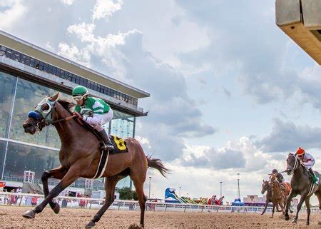 louisiana downs announces purse increase truenickscom