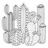 Succulent Kaktusy Succulents Kolorowanka Druku Pustynne Verbnow Scribble Contour Wydrukuj Malowankę Forma Drukowanka sketch template