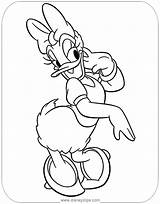 Daisy Coloring Pages Duck Disney Mouse Colouring Mickey Sheets Donald Minnie Printable Drawing Disneyclips Pdf Choose Board Posing sketch template