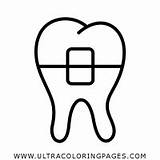 Braces Teeth Tooth Orthodontic sketch template