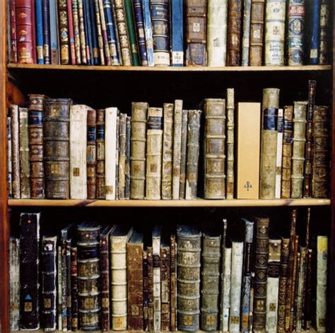Luscious On Pinterest Luscious Books And Libraries