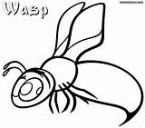 Wasp Coloring Pages Getdrawings Drawing sketch template