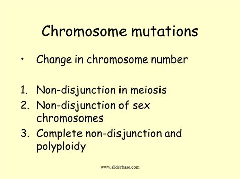 Mutation Presentation Genetics