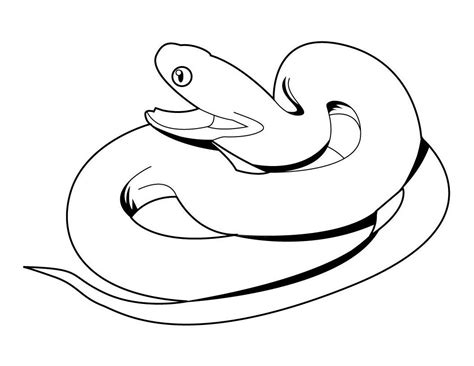 snake coloring page pictures animal place