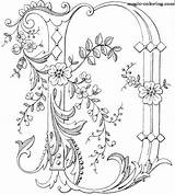 Letters Embroidery Coloring Monogram Letter Pages Monograms буквы Alphabet Antique Spaces Flowered Lettera Crafted Pattern Library Vintage вышитые Adult Magic sketch template