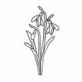 Getdrawings Snowdrop Kleurplaten sketch template