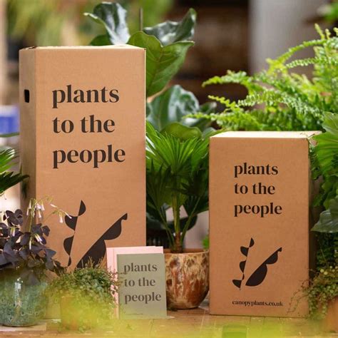 gifts  plant lovers     plant gifts  buy