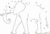 Elephant Dot Worksheet Dots Connect Kids sketch template