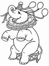 Circus Coloring Pages Animals Animal Elephant sketch template