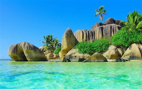 hintergrundbilder meer bucht sand steine strand kueste palmen