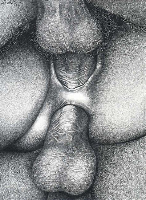 free erotica sex drawings nude photos