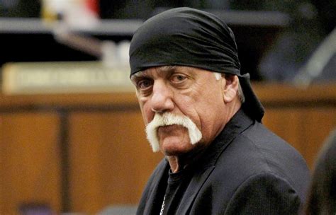 hulk hogan  million settlement  sex tape reached wwe return