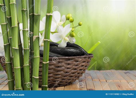 bamboo stock photo image  treatment flower orchid