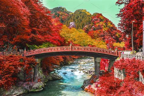 places   autumn scenery  japan japan