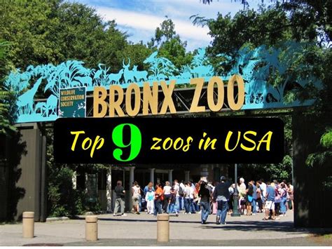 top  zoos  usa  travel buzz