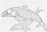 Whale Jonah Coloring Pages Digital Colouring Divyajanani sketch template