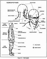 Points Pressure Self Defense Vital Nerve Striking Krav Maga Targets Chart Strike Fighting Head Body Fight Point Human Martial Arts sketch template