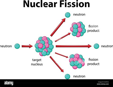 diagram showing nuclear fission illustration stock vector image art