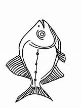 Coloring Pages Piranha Fish Clipart Sketch Recommended Library Piranhas Comments Template sketch template
