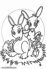 Coloring Family Pages Animal Rabbit Farm Hellokids Printable Over Library Clipart Comments Animals Book Colouring Popular Coloringhome Adults Only sketch template