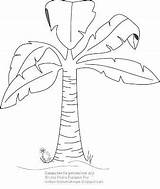 Banana Tree Coloring Pages Colouring Getcolorings Printable Color Print Getdrawings sketch template
