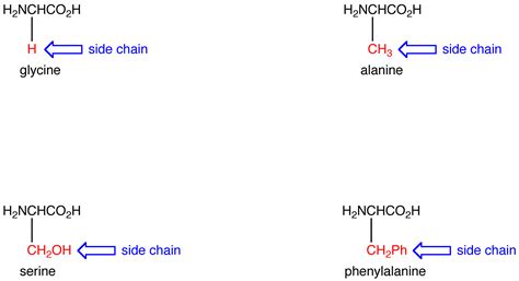 side chain chemistry libretexts