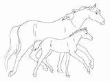 Foal Coloring Pages Horse Mare Mother Printable Getcolorings Getdrawings Color sketch template