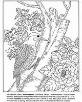 Photobucket Coloring Pages sketch template