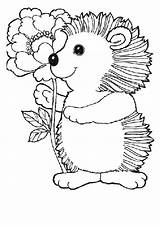 Hedgehogs Coloring Pages Kids Fun sketch template