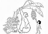 Baloo Coloring Pages Jungle Book Getdrawings sketch template