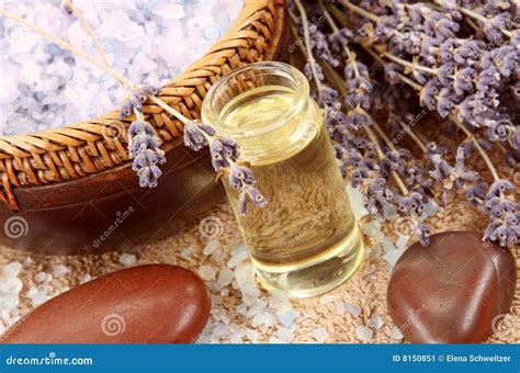lavender spa stock image image  aroma herb flower