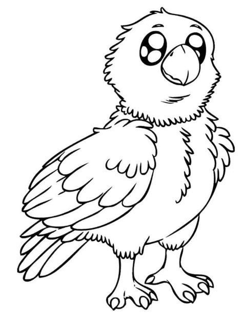printable eagle coloring pages    images baby coloring