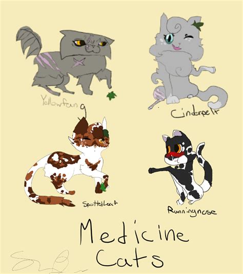 medicine cats  warriors challenge  loveyheart  deviantart