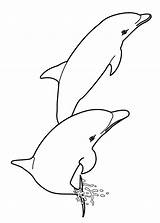 Delfini Pianetabambini Animali sketch template