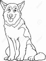 Alaskan Malamute Coloring Husky Siberian Dog Designlooter 1300px 98kb sketch template