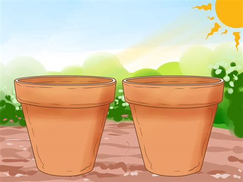 clean clay pots  steps  pictures wikihow