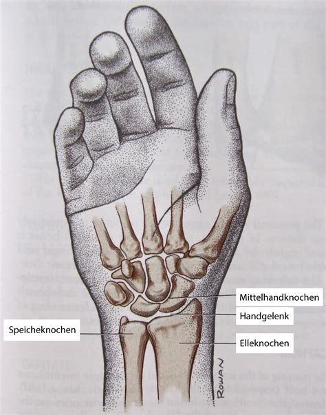 arthrose im handgelenk bewegen ohne schmerzen