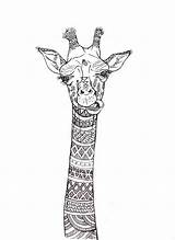 Giraffe Zentangle Animal Mandalas Animales Jirafa Maggi Giraffa Polígono Tatuaje Lienzo Adultos sketch template